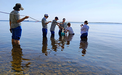...