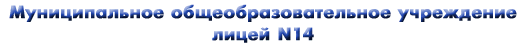 Муниципальное 
общеобразовательное учреждение лицей N14